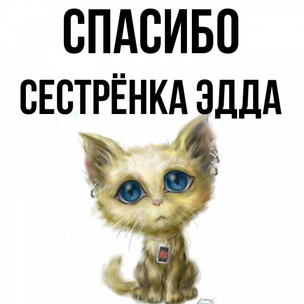 Открытка на каждый день с именем, Сестрёнка-Эдда Спасибо рисованный кот благодарит вас Прикольная открытка с пожеланием онлайн скачать бесплатно 