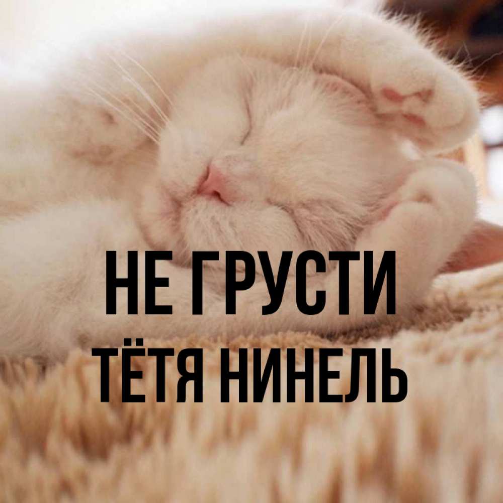 Открытка на каждый день с именем, Тётя-Нинель Не грусти Котенок спит Прикольная открытка с пожеланием онлайн скачать бесплатно 
