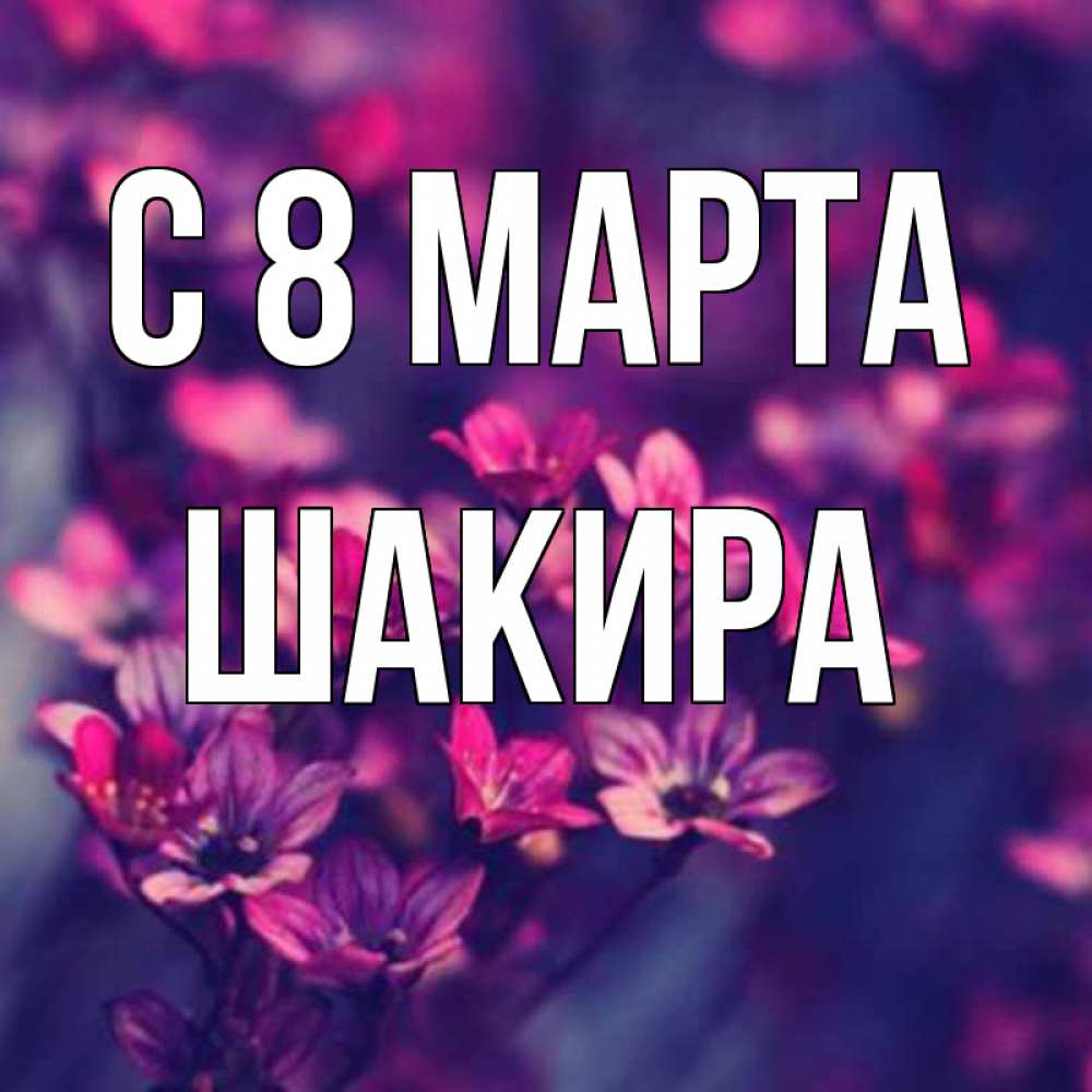 Открытка на каждый день с именем, Шакира С 8 МАРТА небольшие цветы 1 Прикольная открытка с пожеланием онлайн скачать бесплатно 