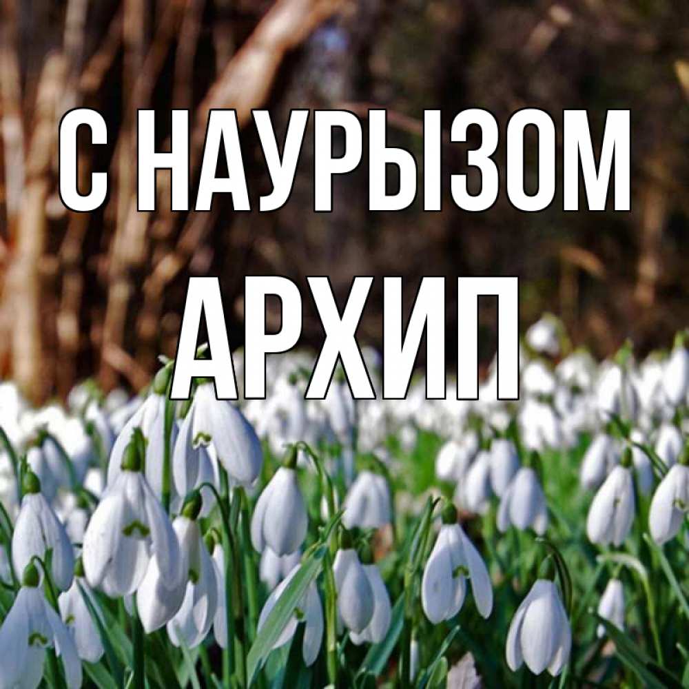 Открытка на каждый день с именем, Архип С наурызом с подснежниками 1 Прикольная открытка с пожеланием онлайн скачать бесплатно 