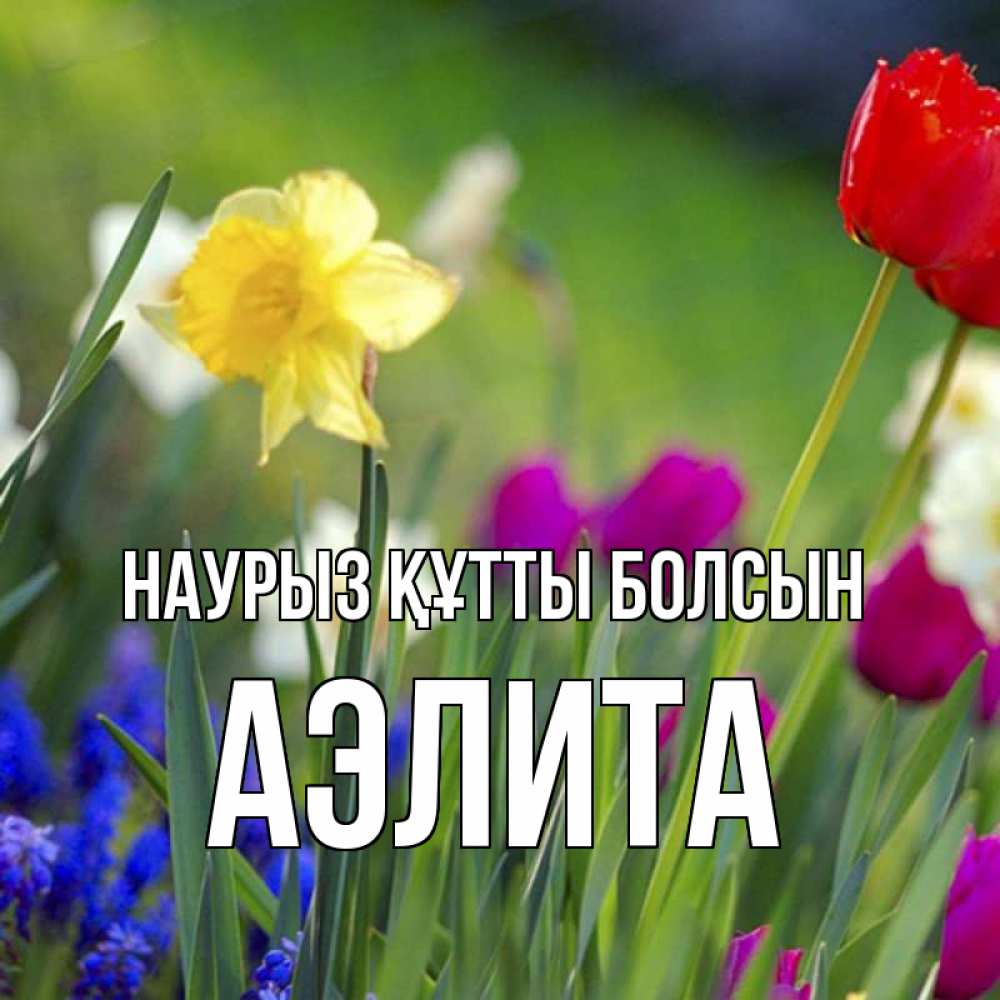 Открытка на каждый день с именем, Аэлита Наурыз құтты болсын наурыз  3 открытки Прикольная открытка с пожеланием онлайн скачать бесплатно 