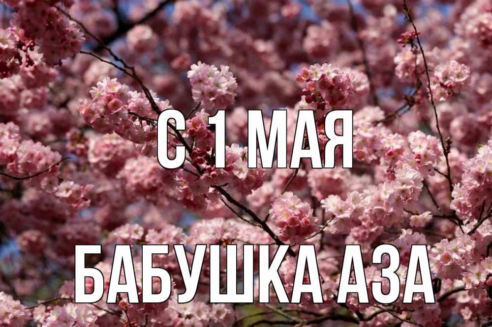 Открытка на каждый день с именем, Бабушка-Аза С 1 мая С 1 мая Прикольная открытка с пожеланием онлайн скачать бесплатно 