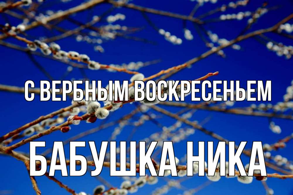Открытка на каждый день с именем, Бабушка-Ника С вербным воскресеньем верба Прикольная открытка с пожеланием онлайн скачать бесплатно 