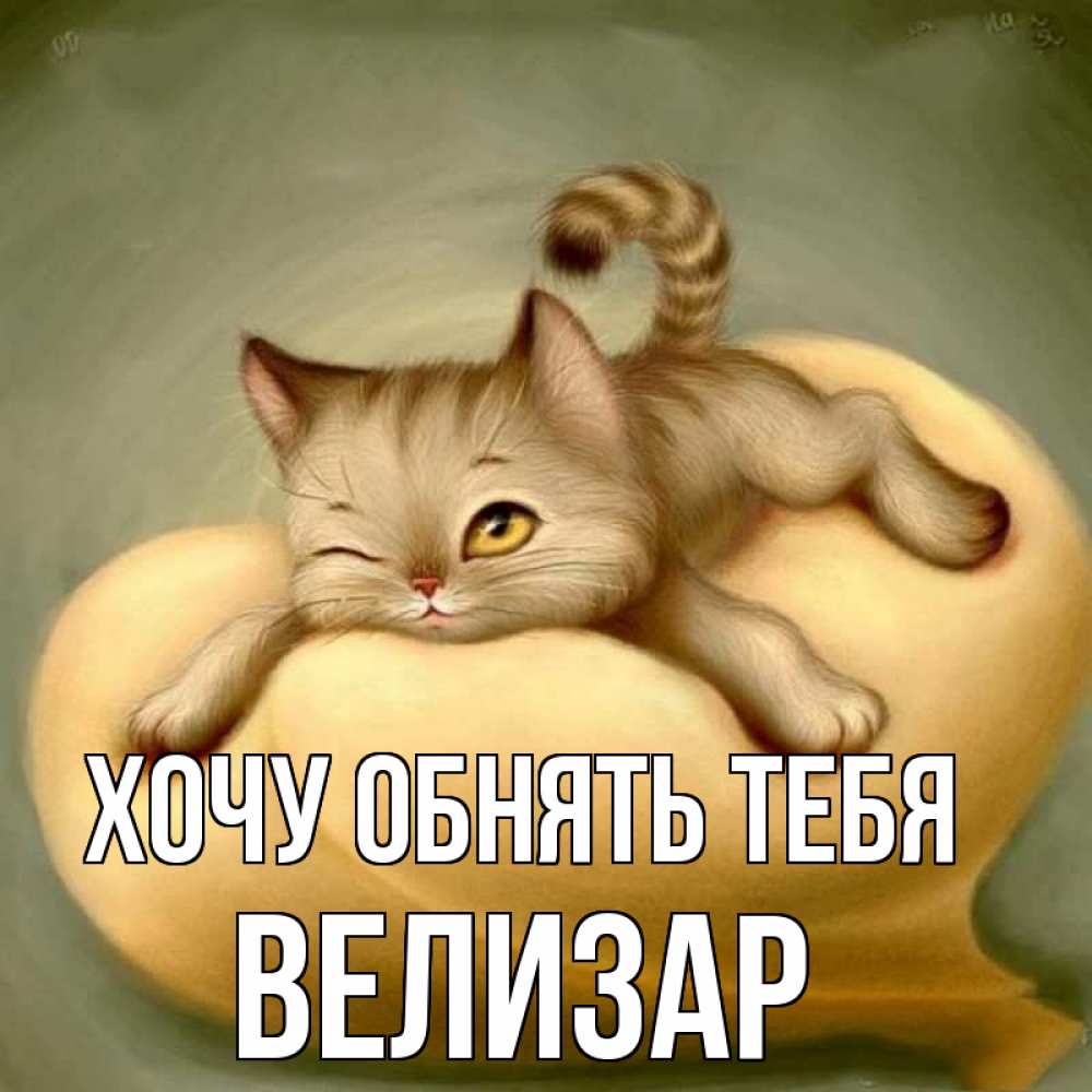 Открытка на каждый день с именем, Велизар Хочу обнять тебя кошечка Прикольная открытка с пожеланием онлайн скачать бесплатно 