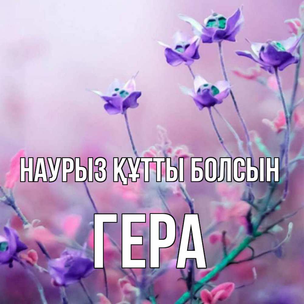 Открытка на каждый день с именем, Гера Наурыз құтты болсын наурыз  2 Прикольная открытка с пожеланием онлайн скачать бесплатно 