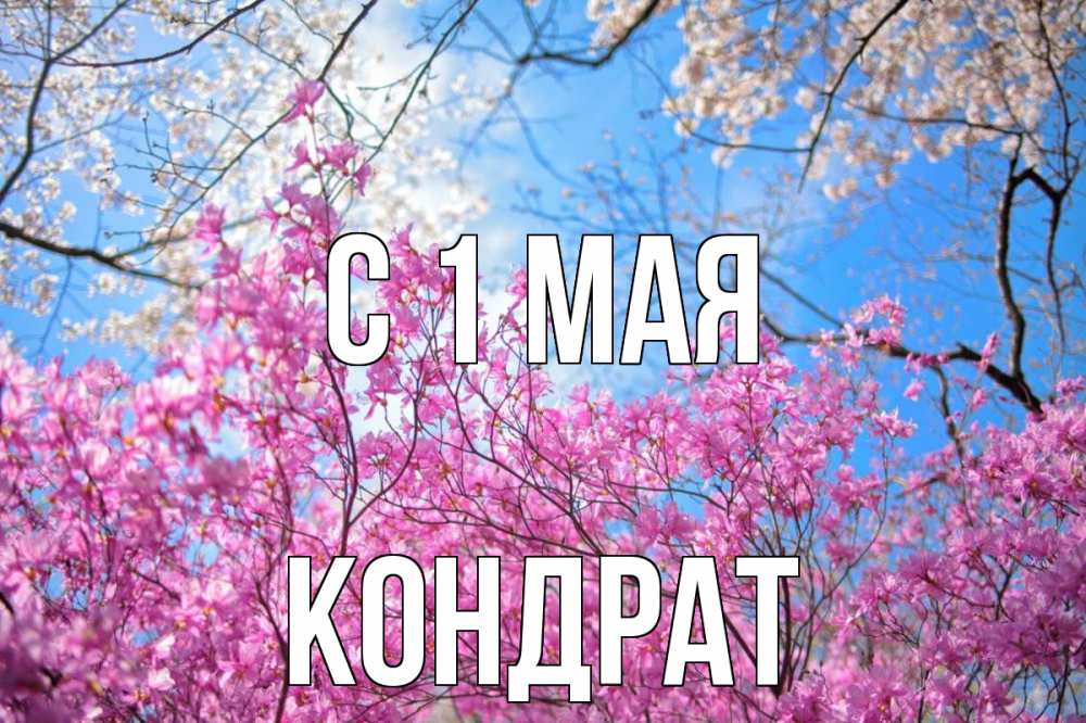 Открытка на каждый день с именем, Кондрат С 1 мая С 1 мая Прикольная открытка с пожеланием онлайн скачать бесплатно 