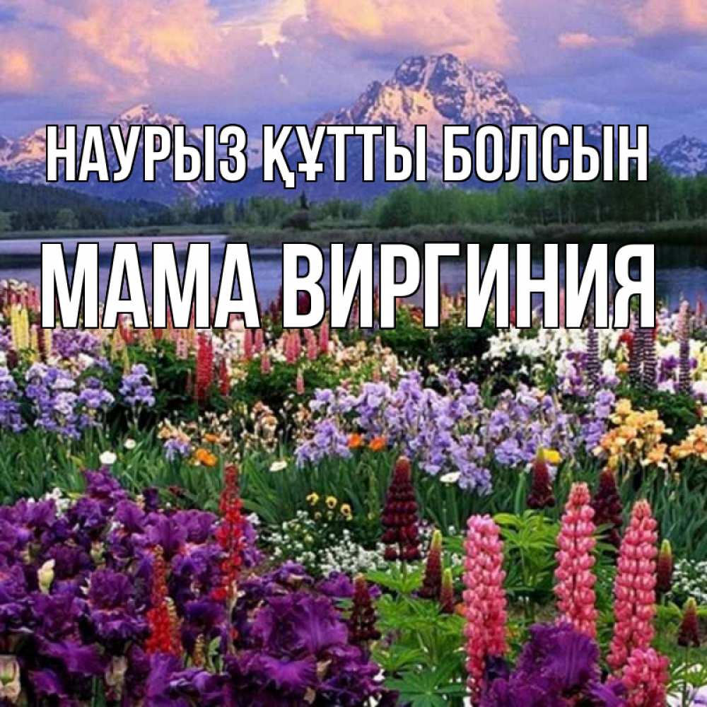 Открытка на каждый день с именем, Мама-Виргиния Наурыз құтты болсын наурыз Прикольная открытка с пожеланием онлайн скачать бесплатно 