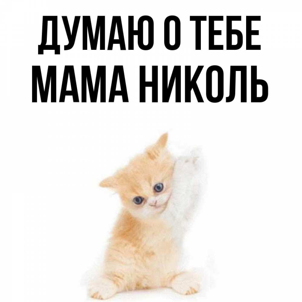 Открытка на каждый день с именем, Мама-Николь Думаю о тебе зверушки и милота Прикольная открытка с пожеланием онлайн скачать бесплатно 