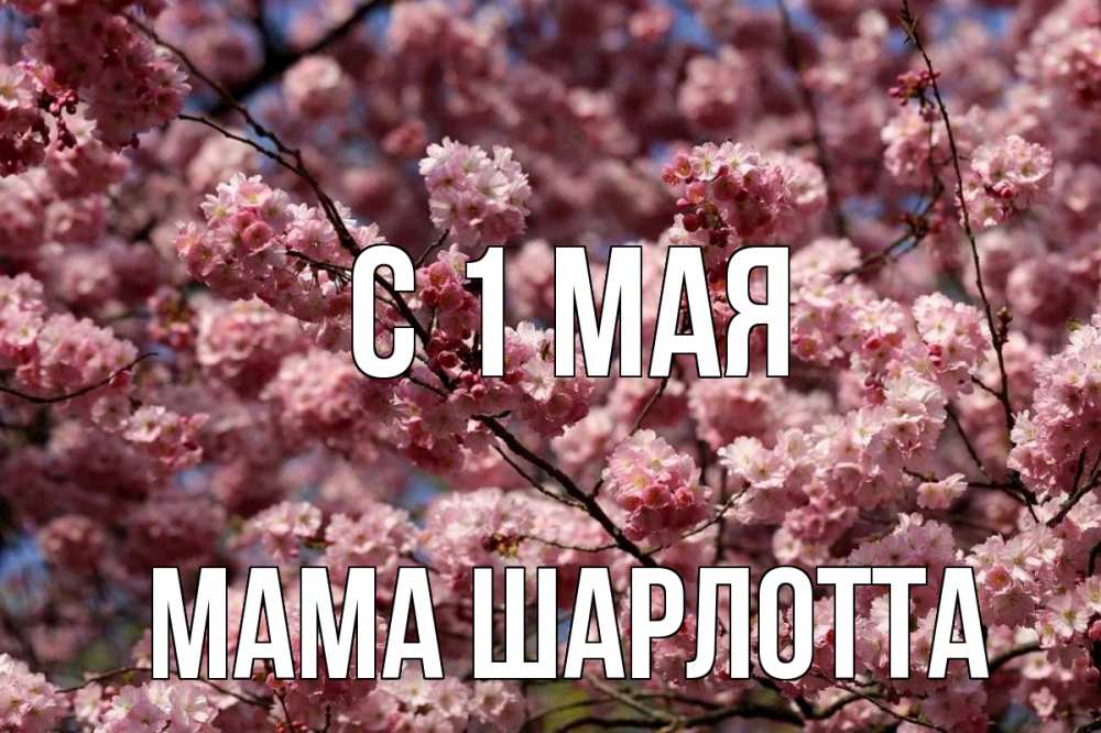 Открытка на каждый день с именем, Мама-Шарлотта С 1 мая С 1 мая Прикольная открытка с пожеланием онлайн скачать бесплатно 