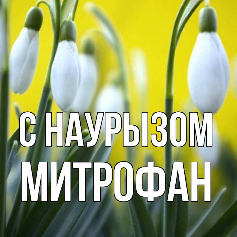 Открытка на каждый день с именем, Митрофан С наурызом весенние цветы Прикольная открытка с пожеланием онлайн скачать бесплатно 
