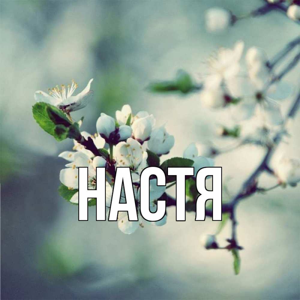 Открытка на каждый день с именем, Настя Главная весна Прикольная открытка с пожеланием онлайн скачать бесплатно 