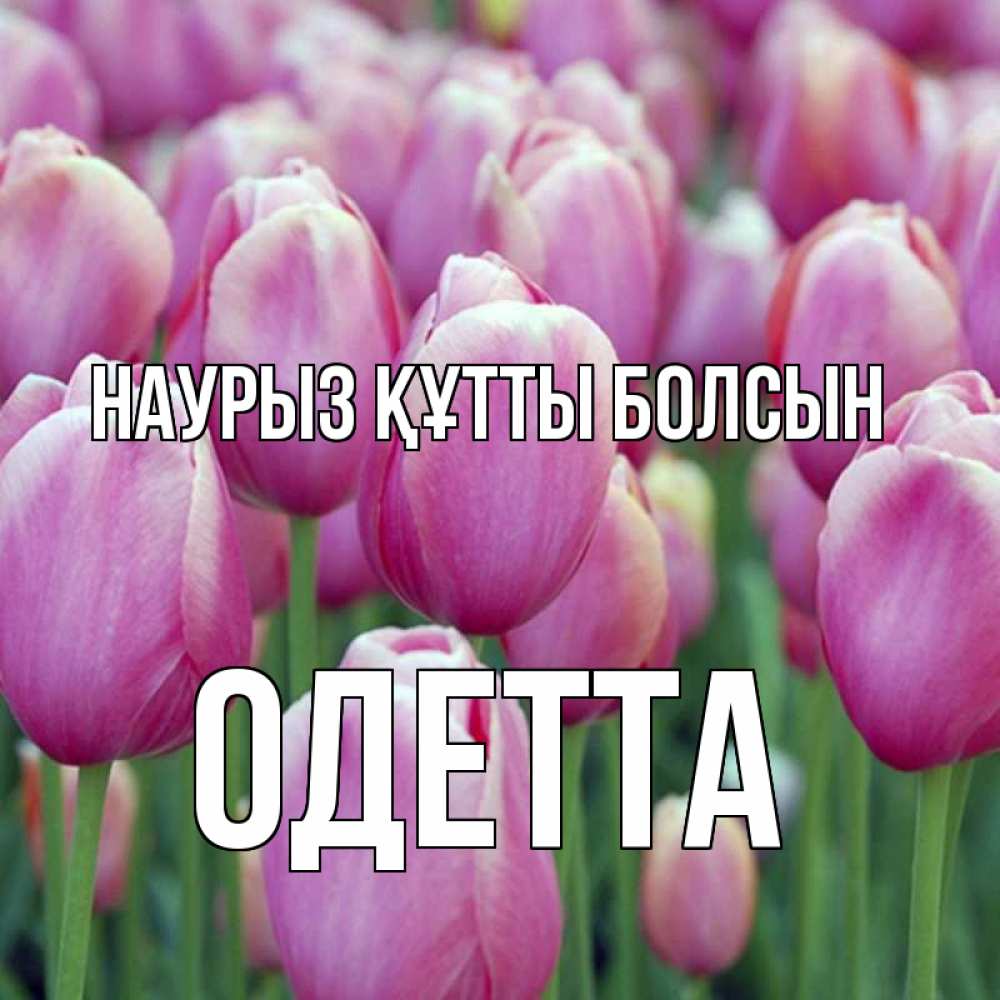 Открытка на каждый день с именем, Одетта Наурыз құтты болсын на наурыз  день 3 Прикольная открытка с пожеланием онлайн скачать бесплатно 