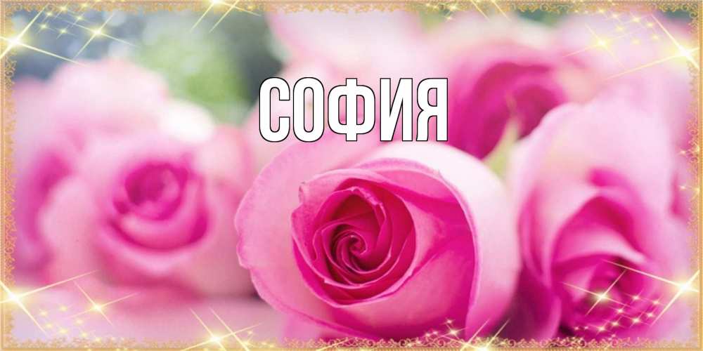 Открытка на каждый день с именем, София Главная блестящая открытка на праздник весны наурыз Прикольная открытка с пожеланием онлайн скачать бесплатно 