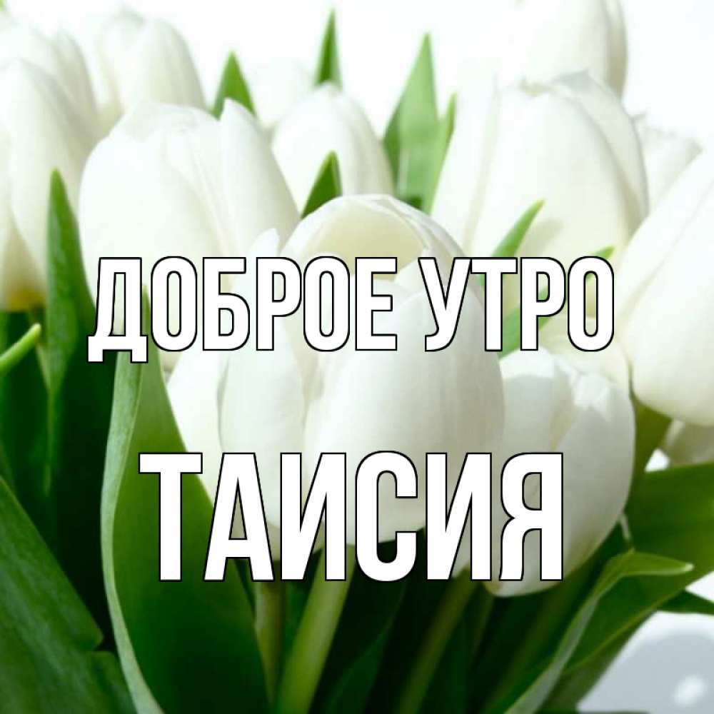 Открытка на каждый день с именем, Таисия Доброе утро открытки на каждый день по именам Прикольная открытка с пожеланием онлайн скачать бесплатно 