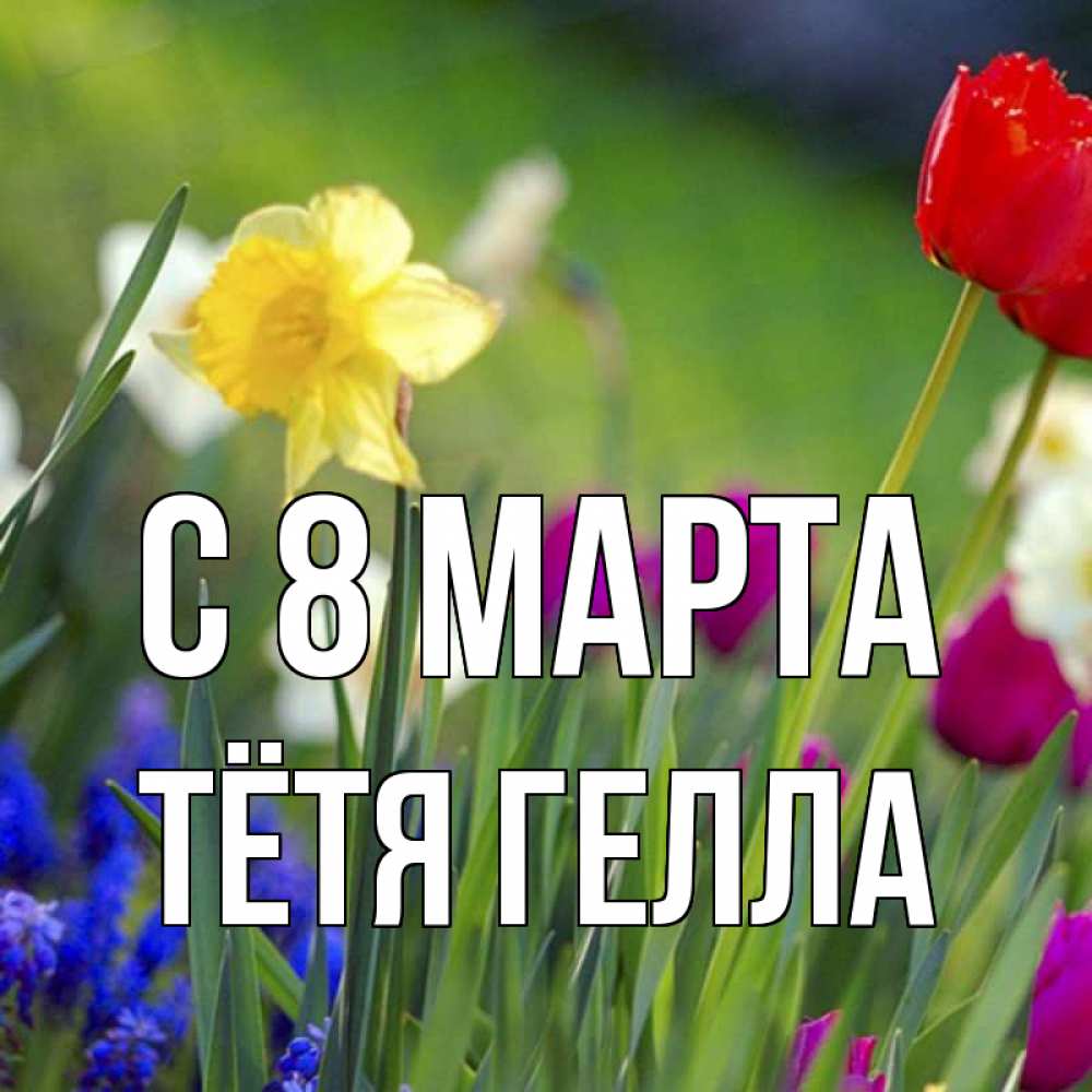 Открытка на каждый день с именем, Тётя-Гелла С 8 марта международный женский день 3 Прикольная открытка с пожеланием онлайн скачать бесплатно 