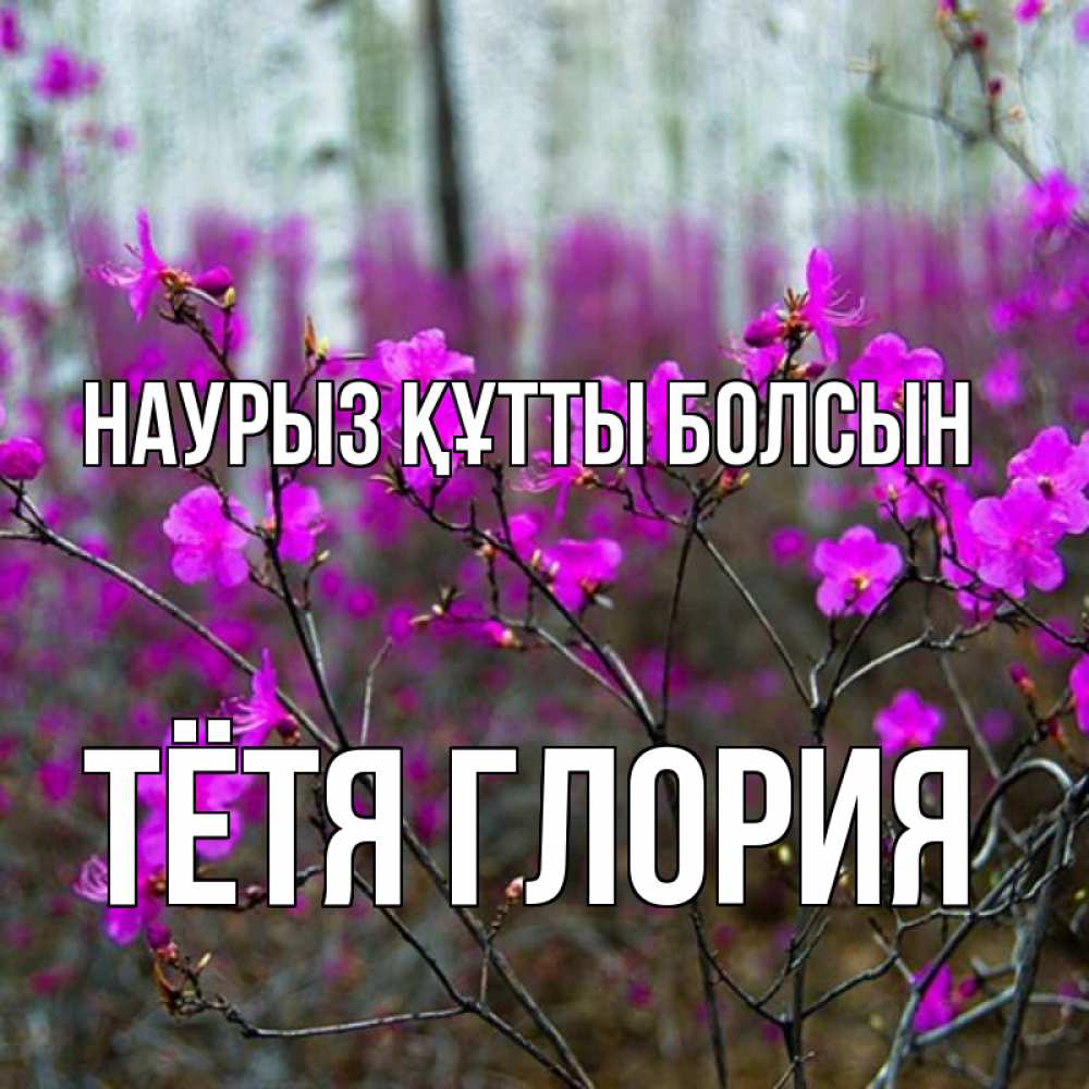 Открытка на каждый день с именем, Тётя-Глория Наурыз құтты болсын дикие цветы Прикольная открытка с пожеланием онлайн скачать бесплатно 