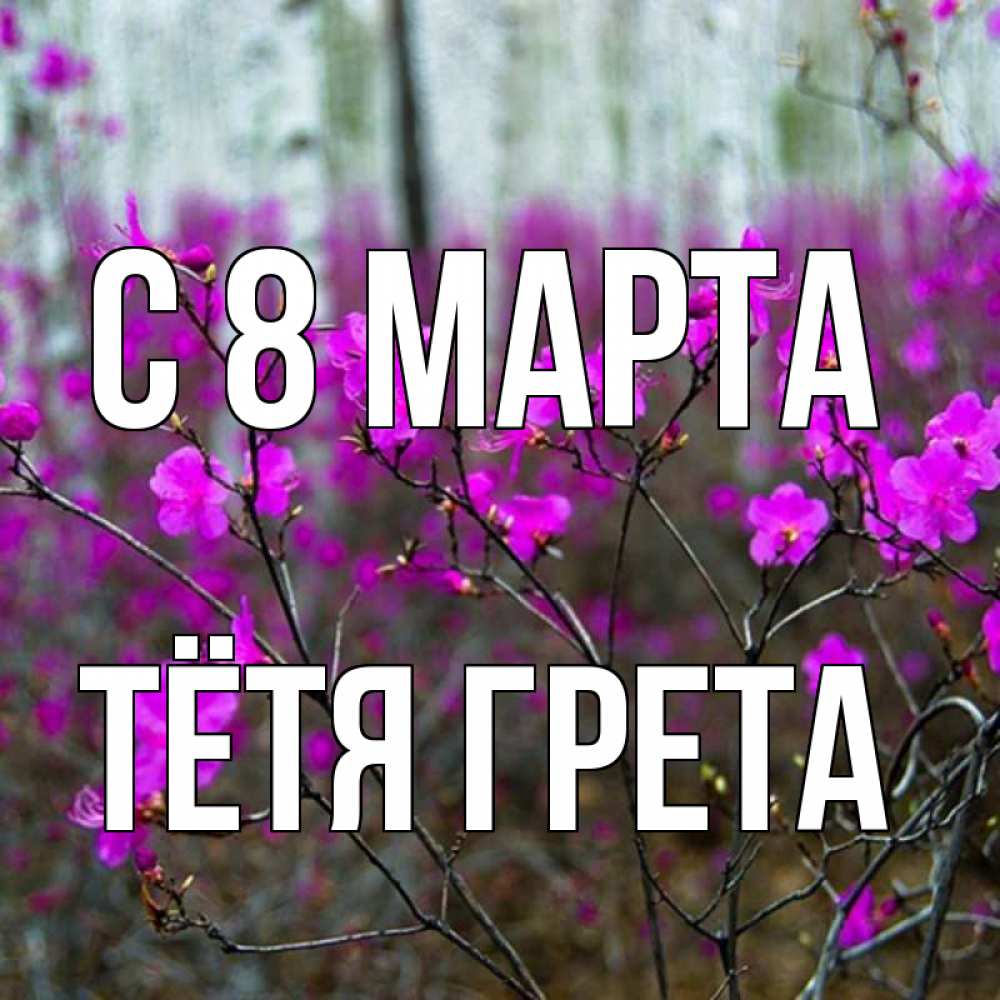 Открытка на каждый день с именем, Тётя-Грета С 8 МАРТА дикие цветы Прикольная открытка с пожеланием онлайн скачать бесплатно 