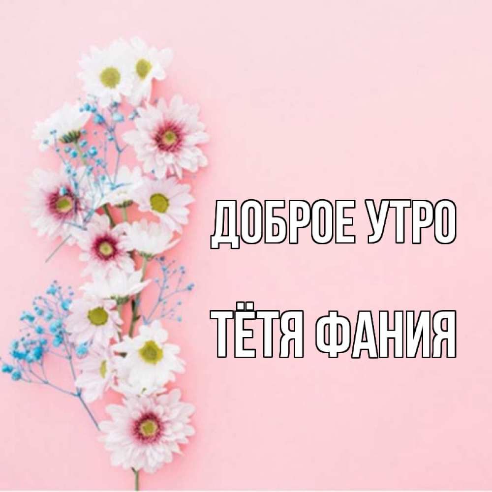 Открытка на каждый день с именем, Тётя-Фания Доброе утро цветы с подписью Прикольная открытка с пожеланием онлайн скачать бесплатно 