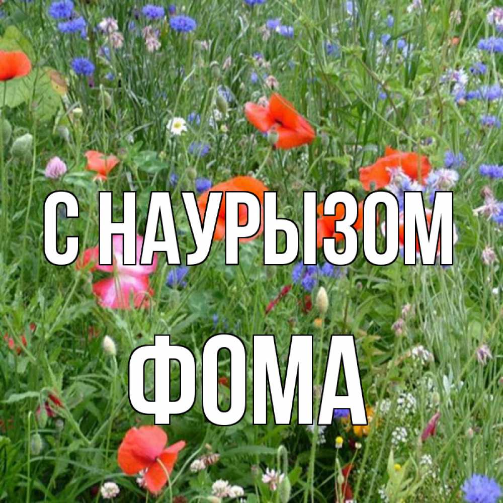 Открытка на каждый день с именем, Фома С наурызом праздник весны наурыз супер открытка Прикольная открытка с пожеланием онлайн скачать бесплатно 