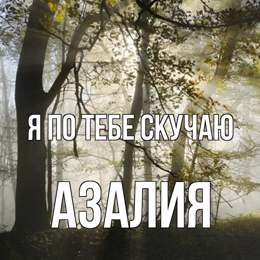 Открытка на каждый день с именем, Азалия Я по тебе скучаю грустно Прикольная открытка с пожеланием онлайн скачать бесплатно 