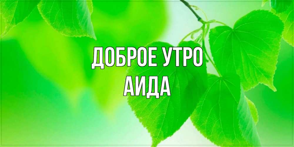 Открытка на каждый день с именем, Аида Доброе утро доброе утро с березовыми листьями Прикольная открытка с пожеланием онлайн скачать бесплатно 