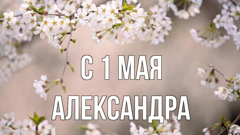 Открытка на каждый день с именем, Александра С 1 мая С 1 мая Прикольная открытка с пожеланием онлайн скачать бесплатно 