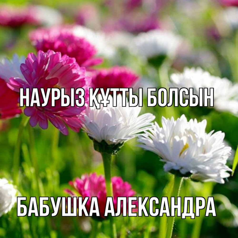 Открытка на каждый день с именем, Бабушка-Александра Наурыз құтты болсын наурыз Прикольная открытка с пожеланием онлайн скачать бесплатно 