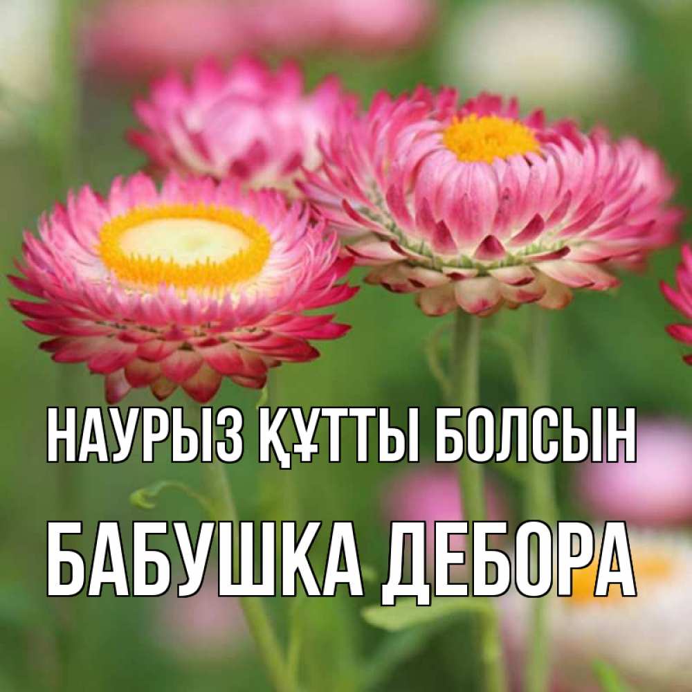 Открытка на каждый день с именем, Бабушка-Дебора Наурыз құтты болсын подарок на международный женский день Прикольная открытка с пожеланием онлайн скачать бесплатно 