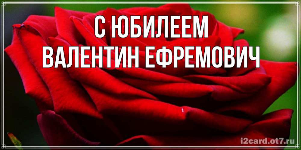 Открытка на каждый день с именем, Валентин-Ефремович С юбилеем розочка очень красивая Прикольная открытка с пожеланием онлайн скачать бесплатно 