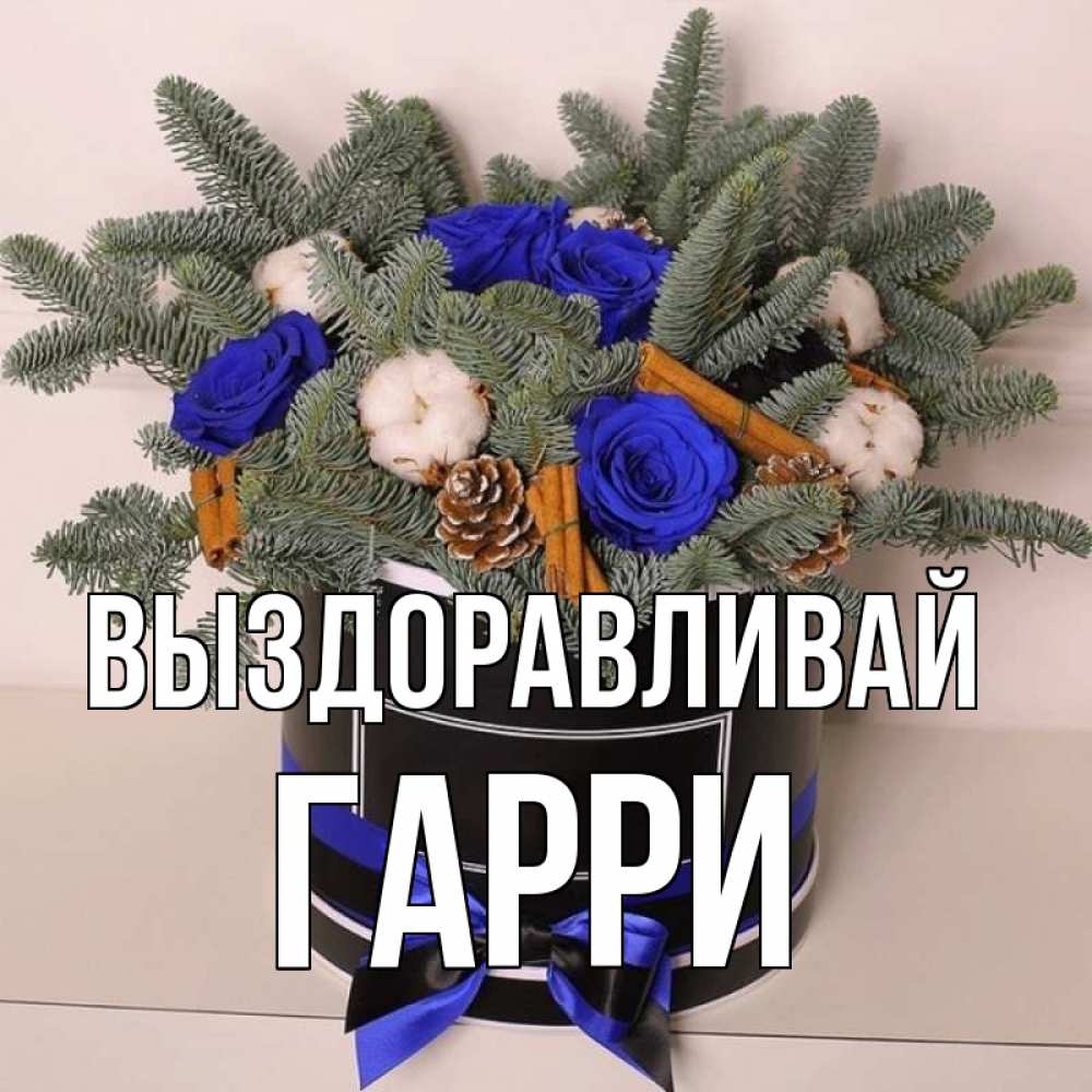 Открытка на каждый день с именем, Гарри Выздоравливай короче кто то загрузил эти шишки Прикольная открытка с пожеланием онлайн скачать бесплатно 