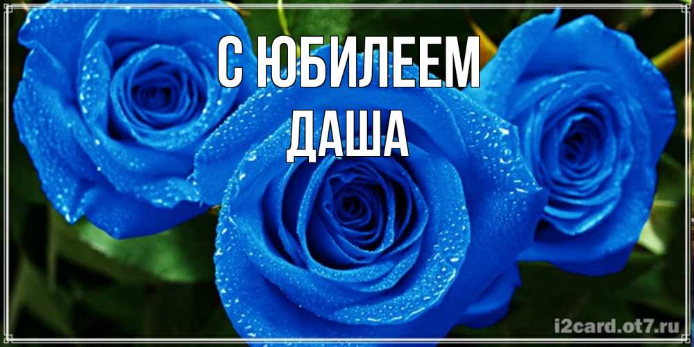 Открытка на каждый день с именем, Даша С юбилеем розы с синим цветом Прикольная открытка с пожеланием онлайн скачать бесплатно 
