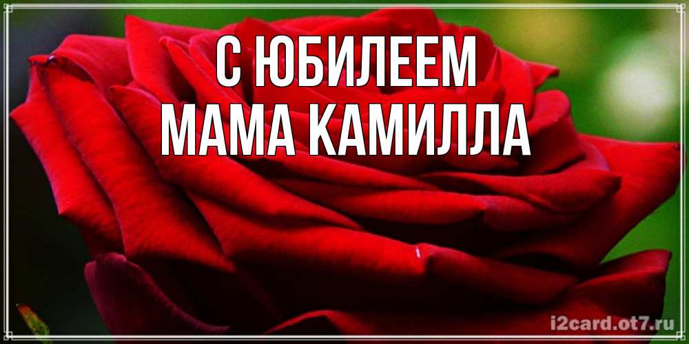 Открытка на каждый день с именем, Мама-Камилла С юбилеем розочка очень красивая Прикольная открытка с пожеланием онлайн скачать бесплатно 