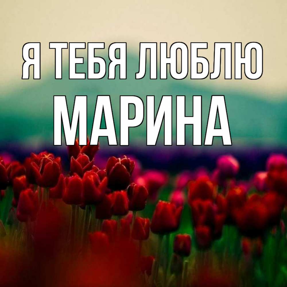 Открытка на каждый день с именем, Марина Я тебя люблю тюльпаны 4 Прикольная открытка с пожеланием онлайн скачать бесплатно 