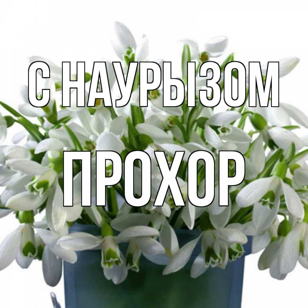 Открытка на каждый день с именем, Прохор С наурызом цветы к наурызу новый год в Казахстане Прикольная открытка с пожеланием онлайн скачать бесплатно 