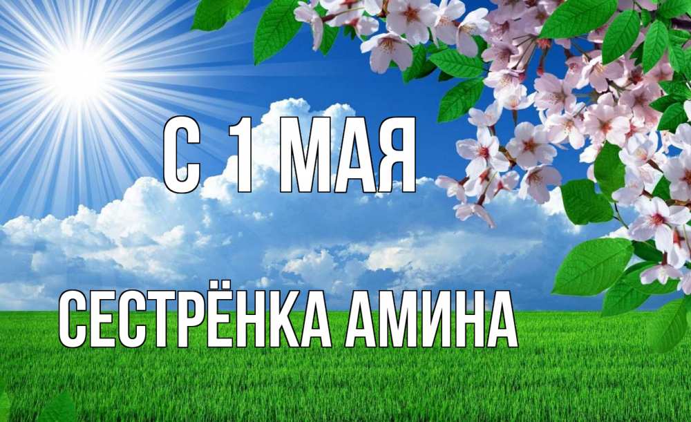 Открытка на каждый день с именем, Сестрёнка-Амина С 1 мая С 1 мая Прикольная открытка с пожеланием онлайн скачать бесплатно 