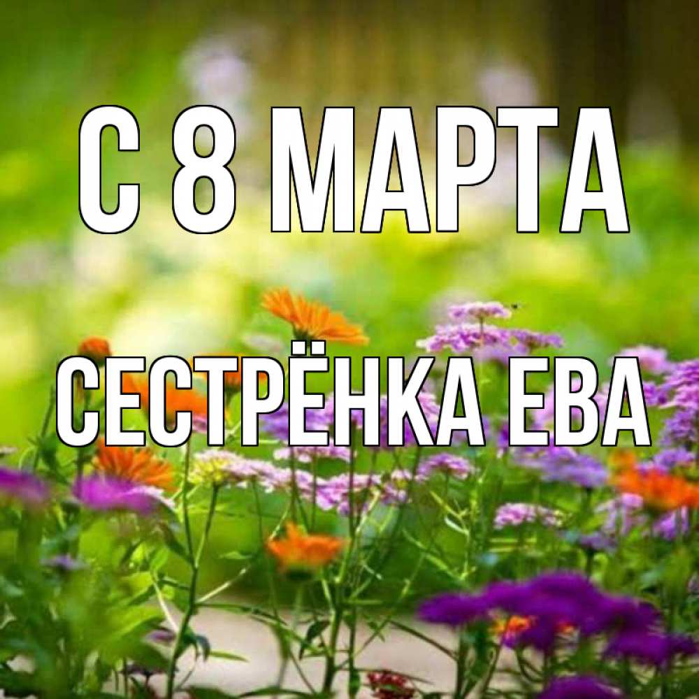Открытка на каждый день с именем, Сестрёнка-Ева С 8 МАРТА цветы Прикольная открытка с пожеланием онлайн скачать бесплатно 