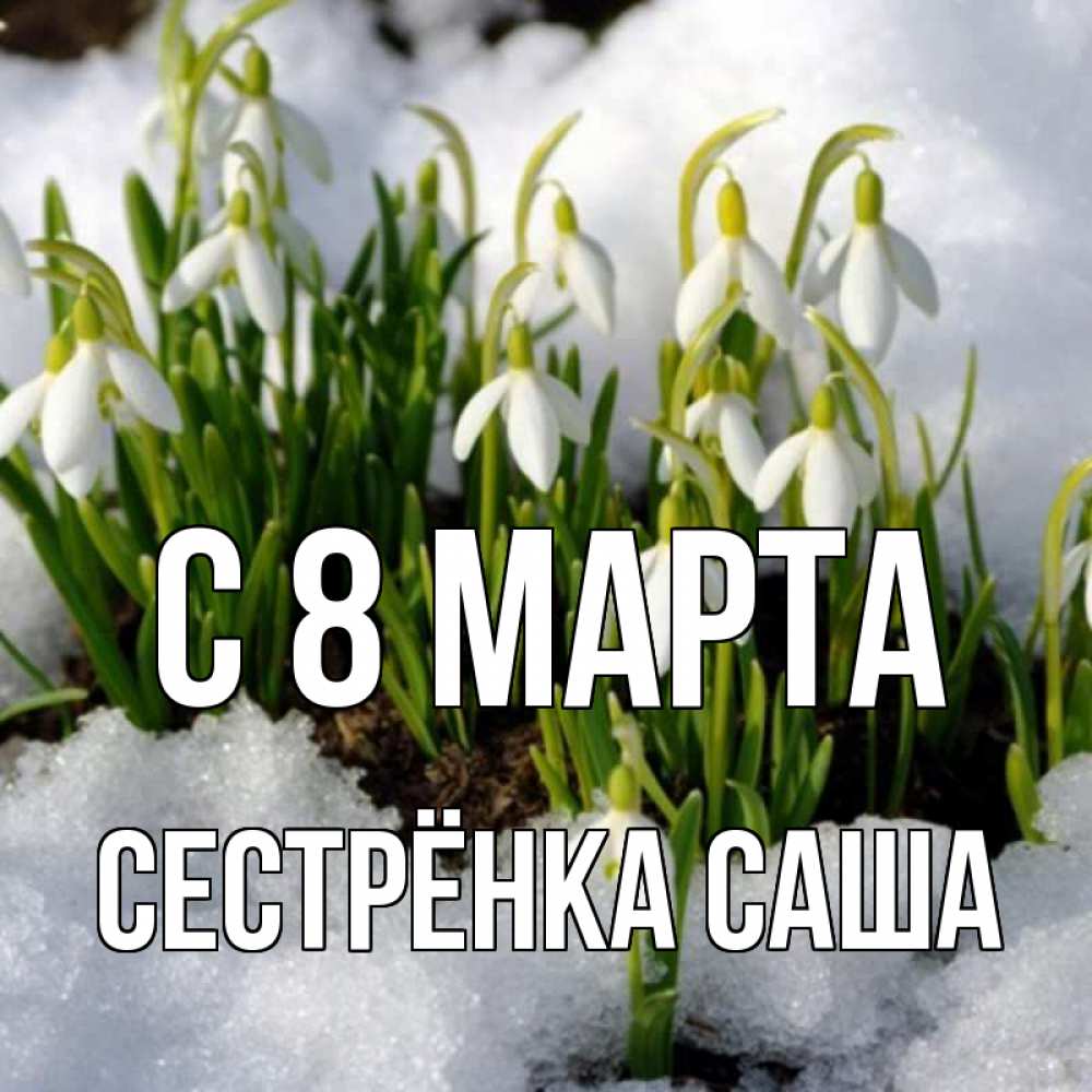 Открытка на каждый день с именем, Сестрёнка-Саша С 8 МАРТА цветы весенние Прикольная открытка с пожеланием онлайн скачать бесплатно 