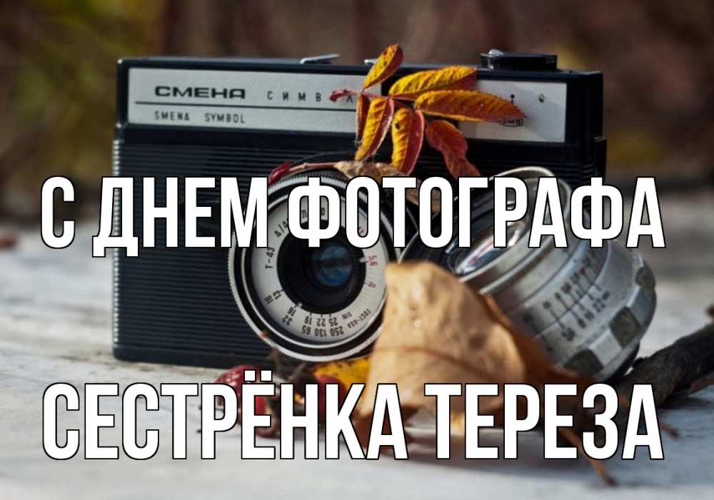 Открытка на каждый день с именем, Сестрёнка-Тереза С днем фотографа с днем фотографа Прикольная открытка с пожеланием онлайн скачать бесплатно 