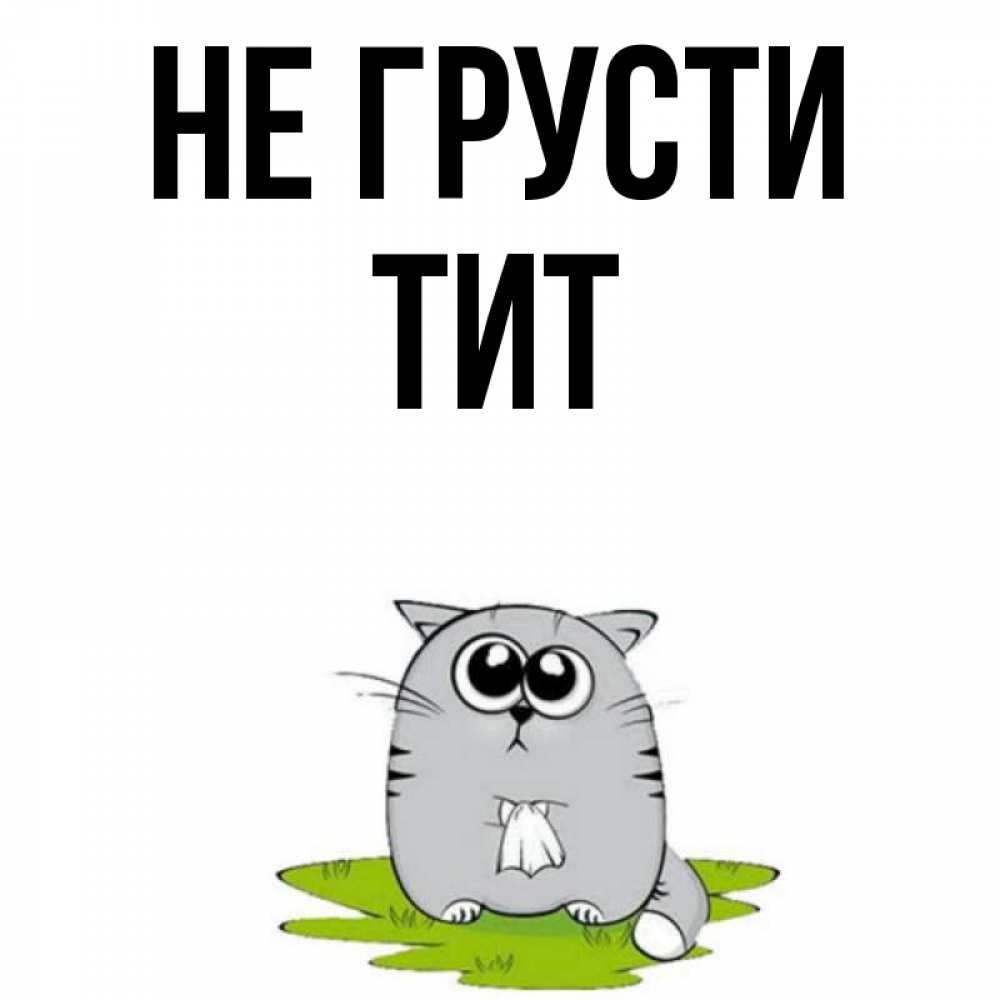 Открытка на каждый день с именем, Тит Не грусти грустный котяра Прикольная открытка с пожеланием онлайн скачать бесплатно 