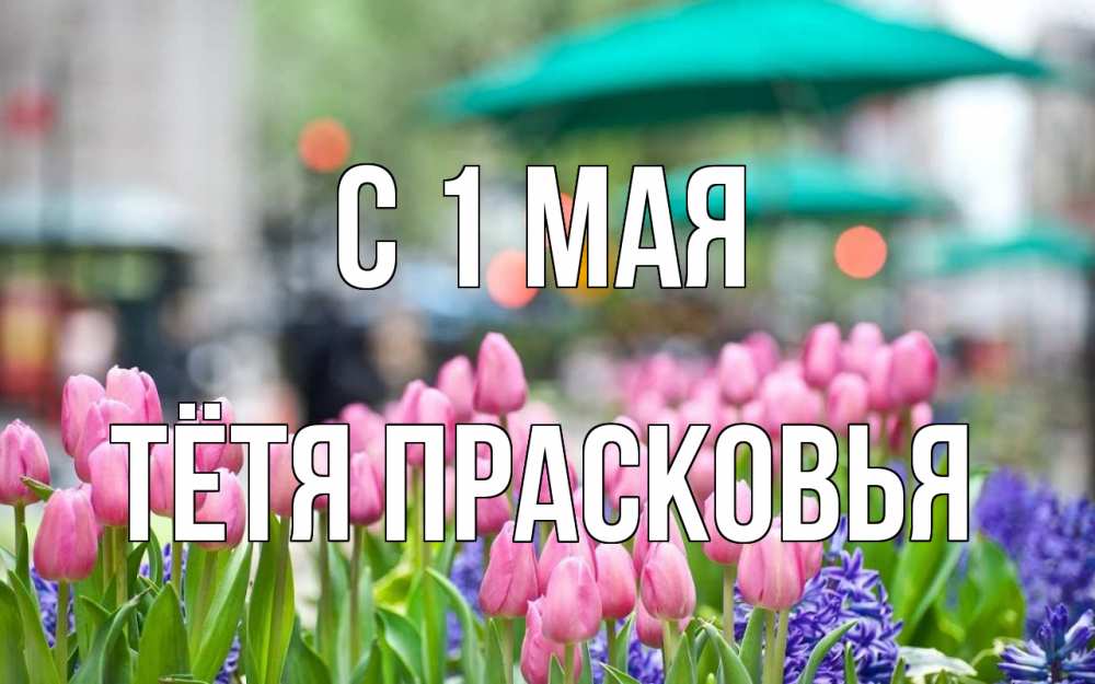 Открытка на каждый день с именем, Тётя-Прасковья С 1 мая С 1 мая Прикольная открытка с пожеланием онлайн скачать бесплатно 