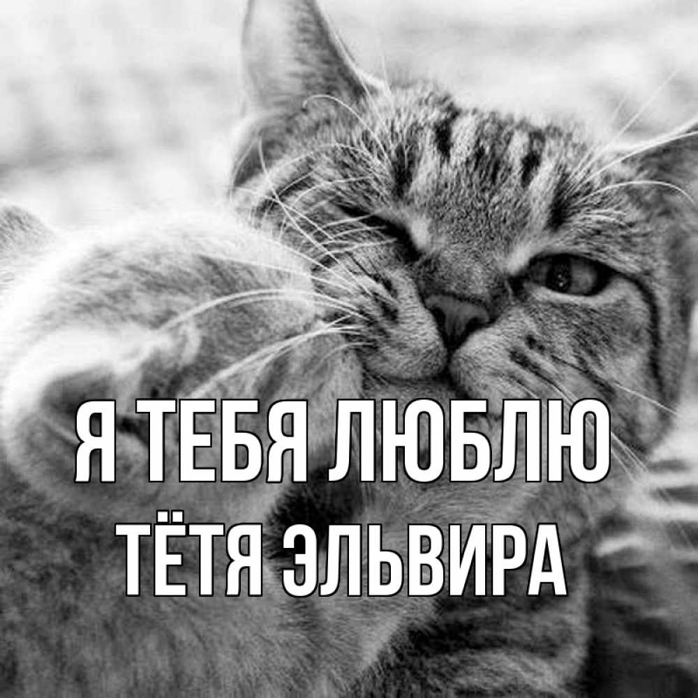 Открытка на каждый день с именем, Тётя-Эльвира Я тебя люблю коты Прикольная открытка с пожеланием онлайн скачать бесплатно 