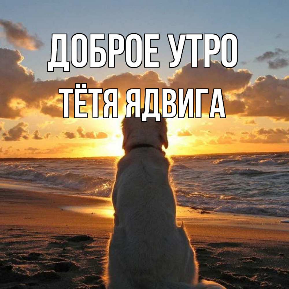 Открытка на каждый день с именем, Тётя-Ядвига Доброе утро восход солнца Прикольная открытка с пожеланием онлайн скачать бесплатно 
