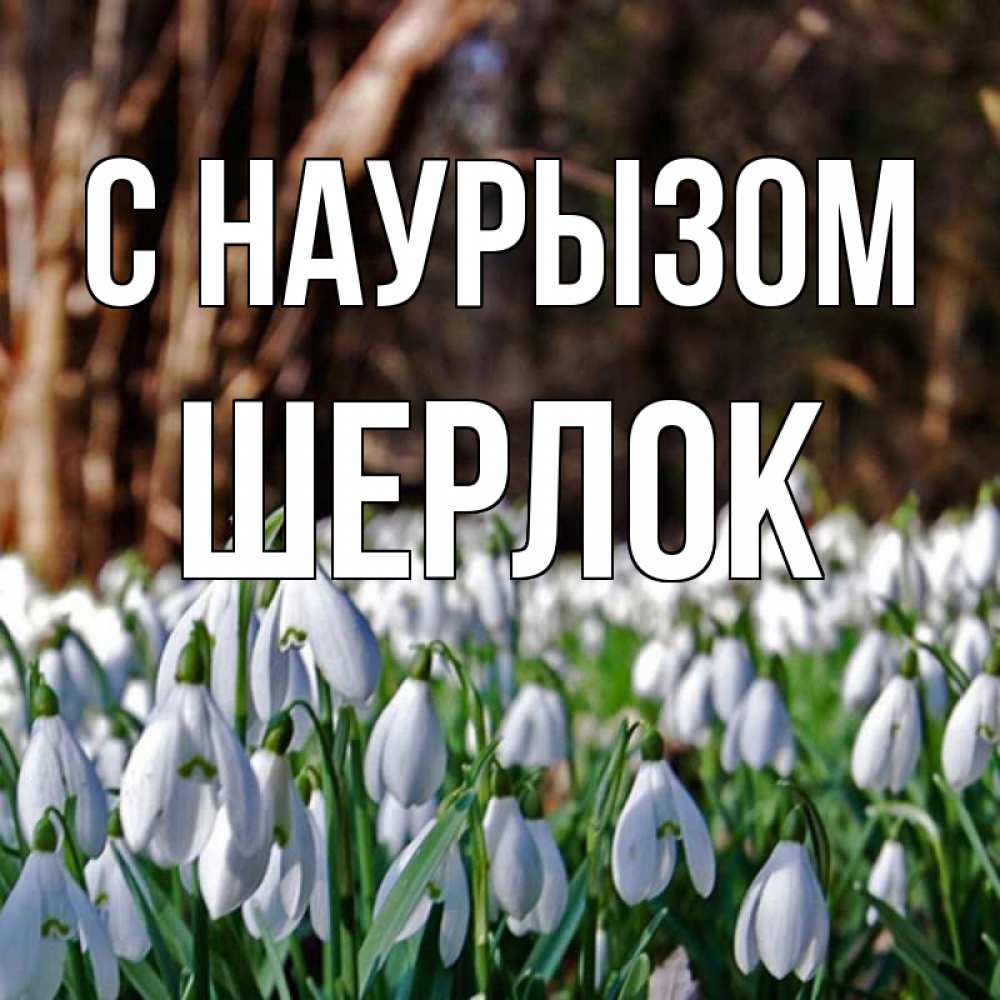 Открытка на каждый день с именем, Шерлок С наурызом с подснежниками 1 Прикольная открытка с пожеланием онлайн скачать бесплатно 