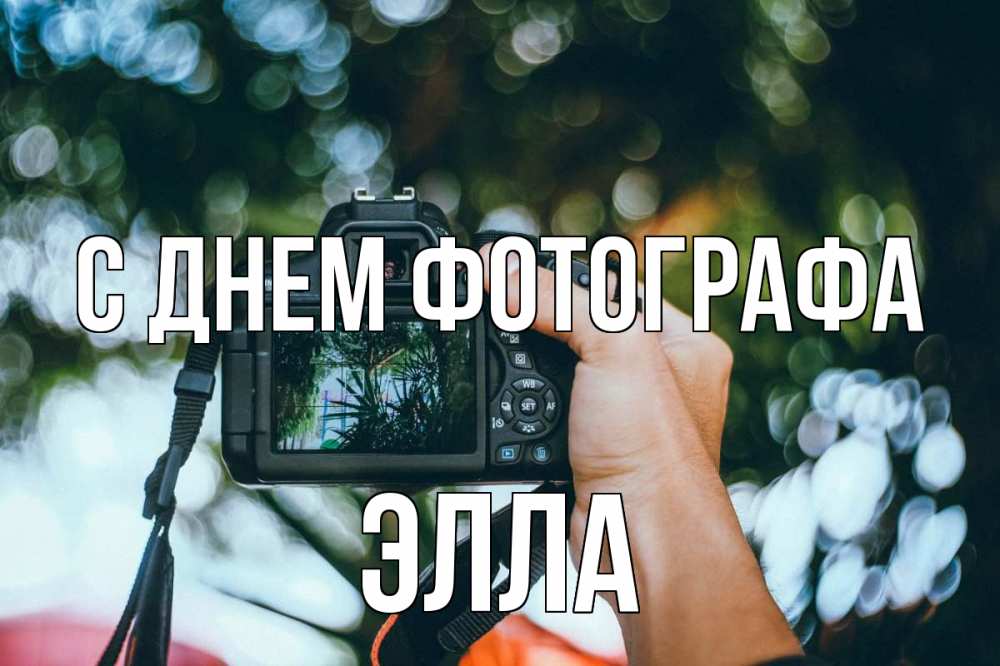 Открытка на каждый день с именем, Элла С днем фотографа с днем фотографа Прикольная открытка с пожеланием онлайн скачать бесплатно 