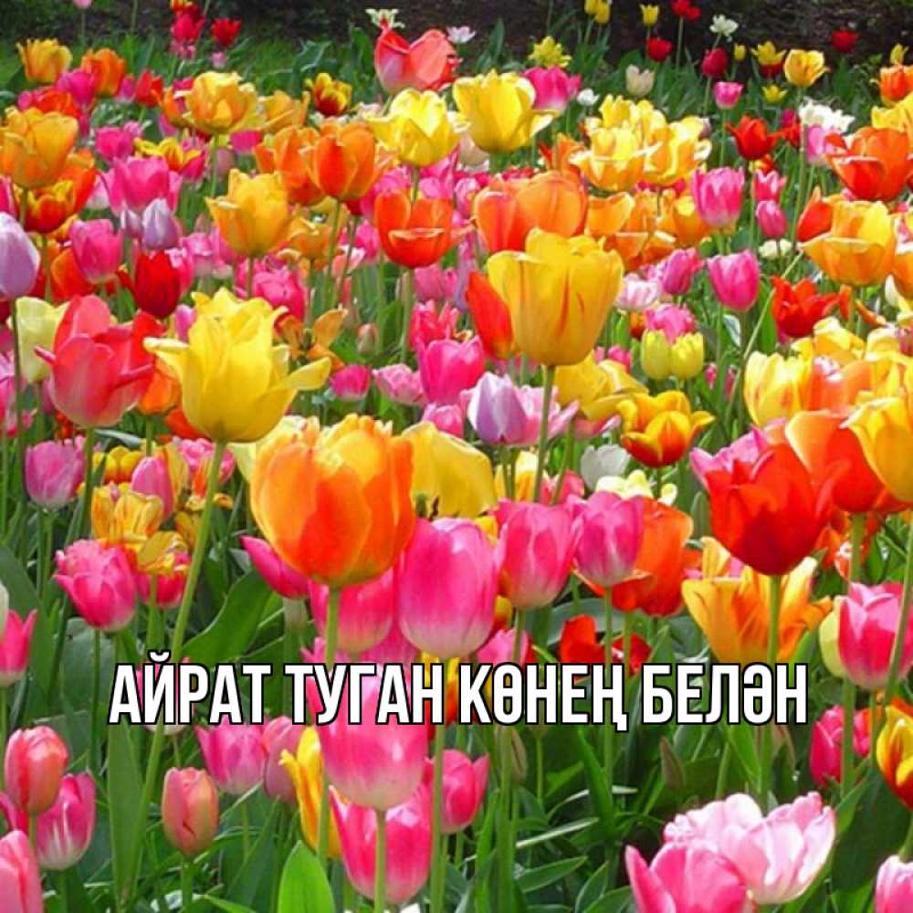 Открытка на каждый день с именем, Айрат-туган-көнең-белән Главная праздник весны наурыз 4 Прикольная открытка с пожеланием онлайн скачать бесплатно 