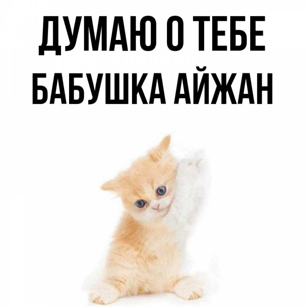 Открытка на каждый день с именем, Бабушка-Айжан Думаю о тебе зверушки и милота Прикольная открытка с пожеланием онлайн скачать бесплатно 