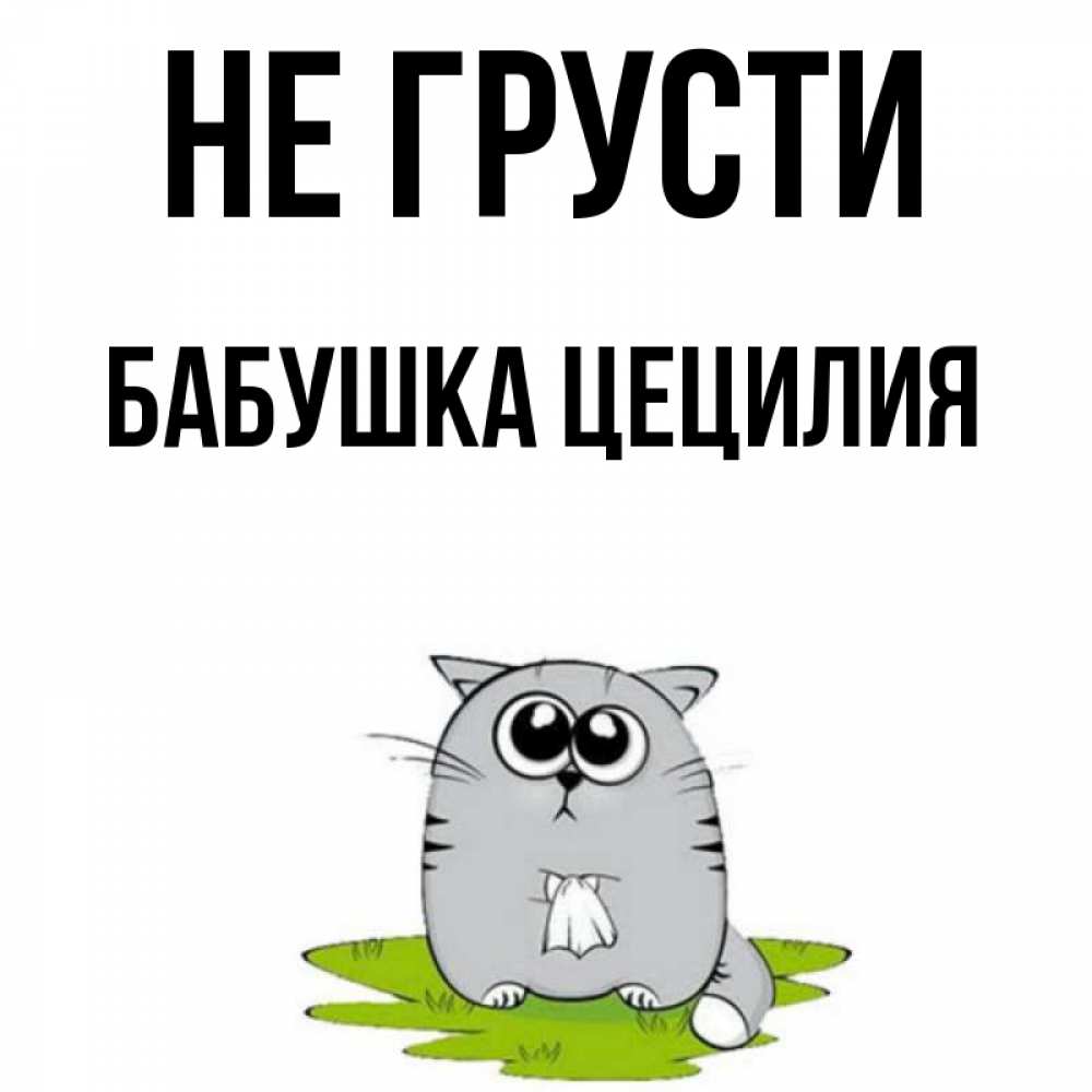 Открытка на каждый день с именем, Бабушка-Цецилия Не грусти грустный котяра Прикольная открытка с пожеланием онлайн скачать бесплатно 