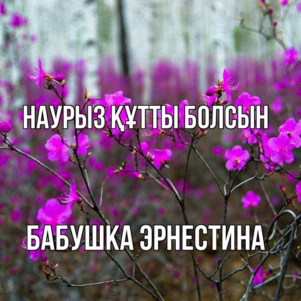 Открытка на каждый день с именем, Бабушка-Эрнестина Наурыз құтты болсын дикие цветы Прикольная открытка с пожеланием онлайн скачать бесплатно 