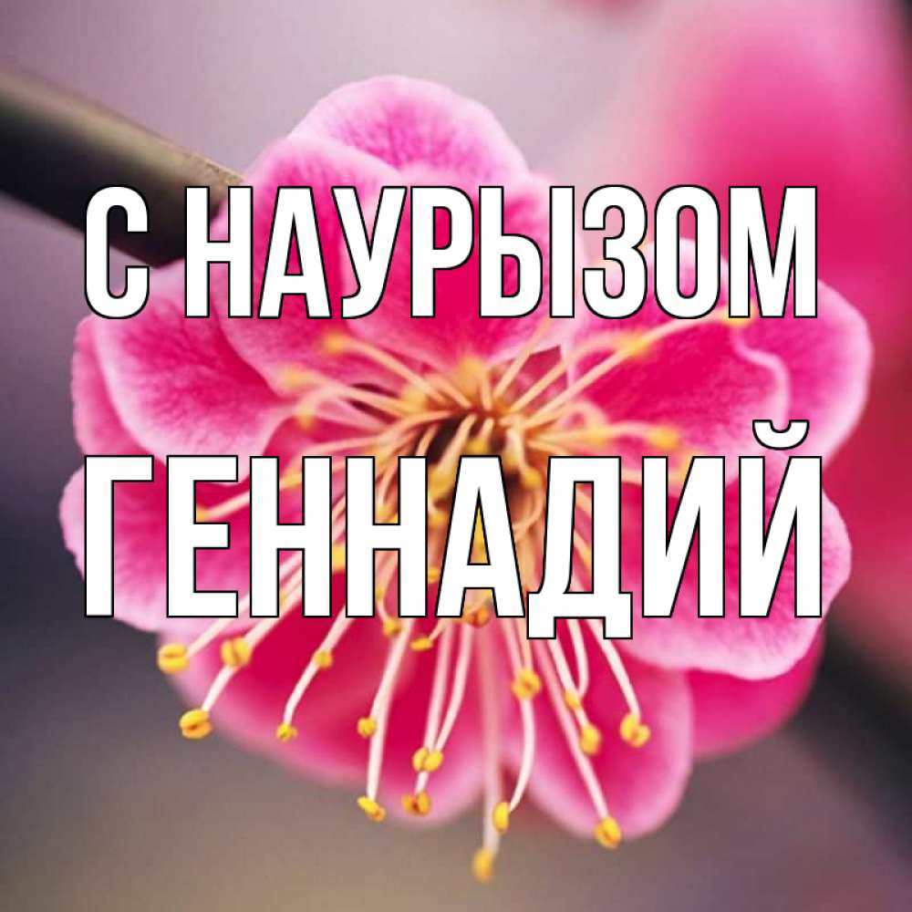 Открытка на каждый день с именем, Геннадий С наурызом цветы Прикольная открытка с пожеланием онлайн скачать бесплатно 