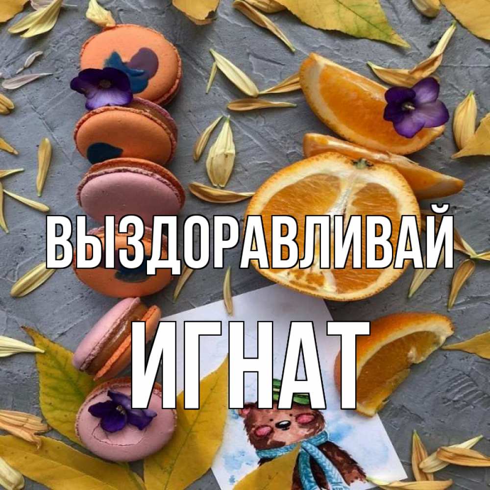 Открытка на каждый день с именем, Игнат Выздоравливай не болейте Прикольная открытка с пожеланием онлайн скачать бесплатно 
